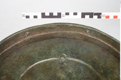 Foto von Bronzerippenciste (NHMW-PRAE-024511)